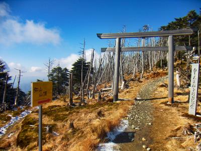 とりあえずせっかく来たので弥山の山頂へ行ってみることにした