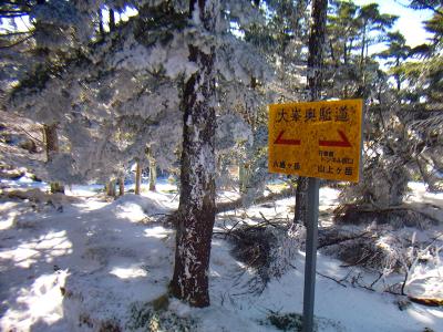 この付近は木にびっしり雪がついてる。完全な積雪期ならモンスターになってるのかも！？とりあえず八経ヶ岳を目指す