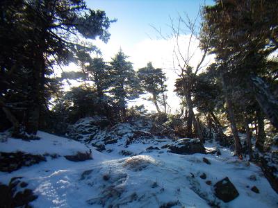 八経ヶ岳の山頂が見えた。最後はちょっとだけ急登になっていてペースが落ちた