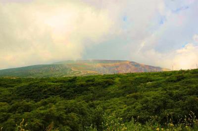 ちょっとガスが酷いかな