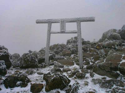 山頂付近には鳥居があった。この山も何か祭られてるのかな