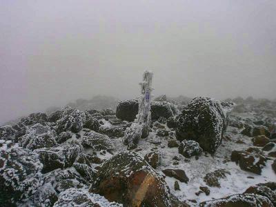 なんか木にプレートがあって書いてあったけど何かいてるかわからない