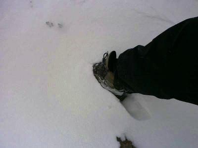 雪の量はそこまでじゃないんだけどね。問題はやっぱこのガス状態