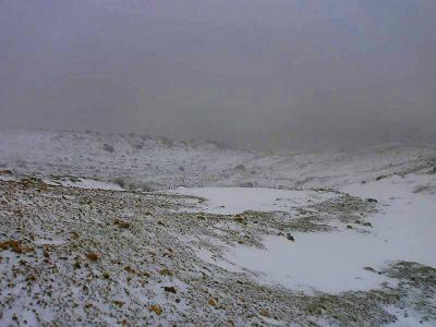登山道の正規ルートももわからないくらいのガス。別に迷わなかったけど・・・