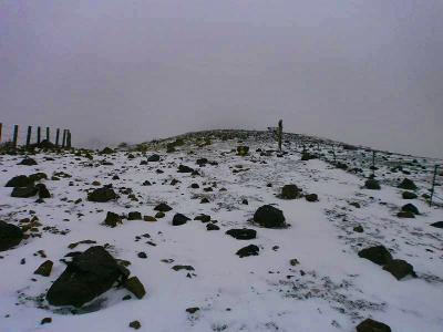 この通りのホワイトアウトでガスと雪で今日の展望はもうダメだね