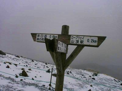 分岐。とりあえず茶臼岳の山頂だけでも踏みに行ってくるかな