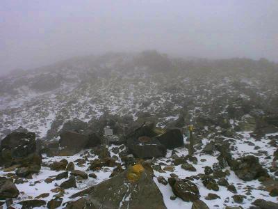 完全にガスの中だけど晴れていたら何が見えていたんだろうか