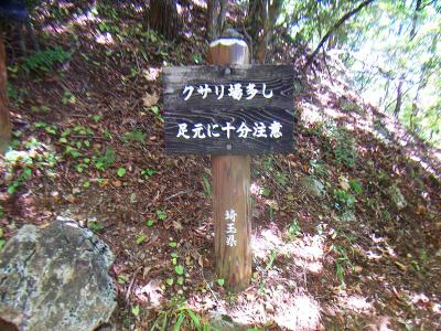 クサリ場多しと書いてあったのでワクワクしながら行く