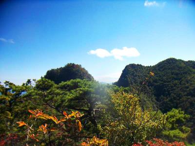 あれを登ってまた下ってを繰り返すのか・・・予想以上にキツいコースだった