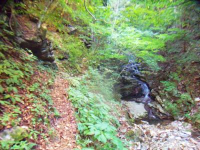 まずは沢筋を行く