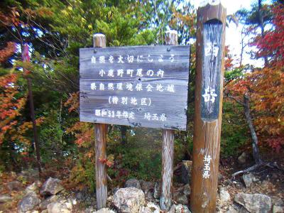 とりあえず西岳に到着。両神山はギザギザの山だけど、それぞれのピークに名前がついているのかな！？