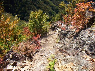 今度はクサリ場の下り。これも帰りの登り返しがキツそうだ