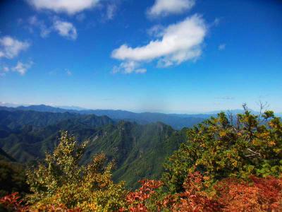 この付近は色づいてすっかり紅葉になってきていた