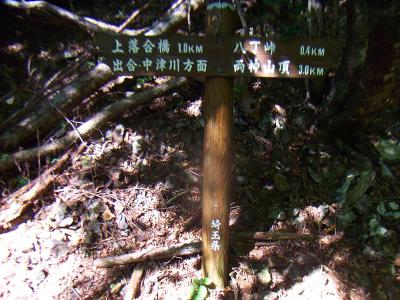 さっきから約500mのところまできたけど樹林帯が終わらない