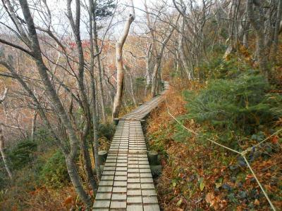 登山道はキッチリ整備されていて木道が続く