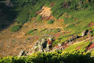 迫力ある岩。写真では伝わらないけどね