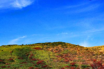 青とグリーンのコラボが素晴らしい。良い天気に恵まれた