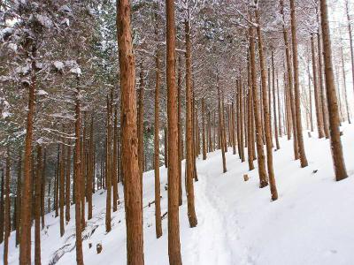 ここ構図的によかったんだけど、写真じゃ伝わらないね