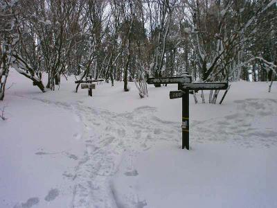 ここが新道峠か