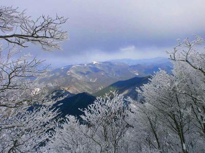 展望はあるけど上が白くなってる山はなんだろうか！？