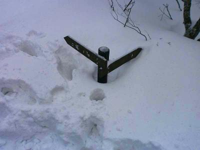 道標が埋まっている。雪が深いけど歩いていてハマりはしなかった