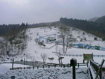 公園だろうけど、ここはスキー場みたいになっているね
