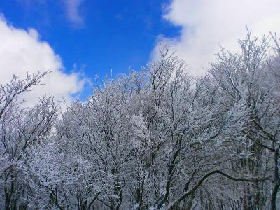 青空もでてきてこの後の天気に期待ができそう