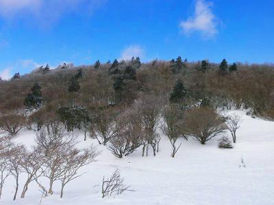 完全に青空になったけど霧氷はどこいったんだ！？