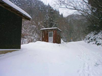 さてまずは林道を歩いていく