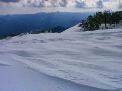 風が彩った雪の形がまた自然の神秘って感じやね