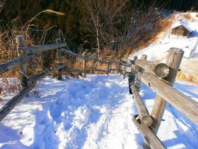 さて、どんどん下っていく。雪はまだまだあるけど周りがとけてきてる気がした