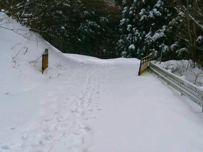 ゲートは開いてるけど林道はまだ終わらない