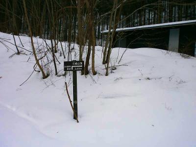 三峰山3400mって3.4kmってことか