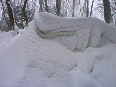 すごい雪の量。雪が彩るこの形はいつも思うけど魅力的なものがある