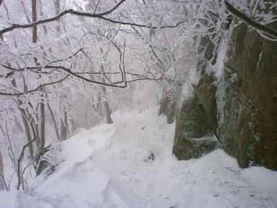 迫力ある大きな岩と霧氷。今度こそ晴天の時に来てみたい