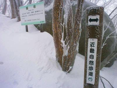 揺岩。この付近は岩が多いのかな。しかも説明分まできっちり看板に書いてるところもさすがは人気の山