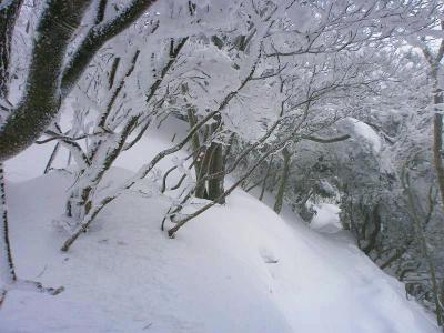 ここでトレースがなくなって少し迷ったが、iPhoneのDIYGPSを使うと方向が右と示した