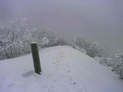 振り返ると自分達のトレースがあるが、あとから人がどんどん登ってきた