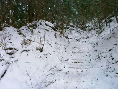 人気の山なのか登山道はきっちり整備されている