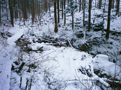 沢筋に出たのかな！？雪の量が増えてきた