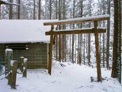 またまた鳥居があった。この山はよほど祭られてるんだろうね
