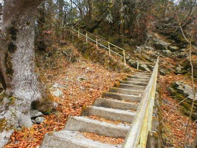 嫌な感じの階段だ。実はここから長い急登が続く