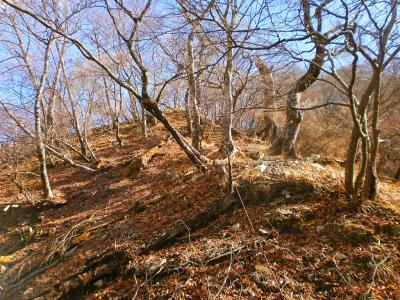 尾根出合付近までくると登りが平坦な道になった