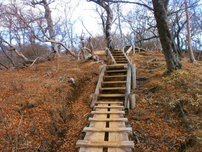 木道と階段が続く。人はほとんどいないけど登山道はキッチリ整備されているんやね