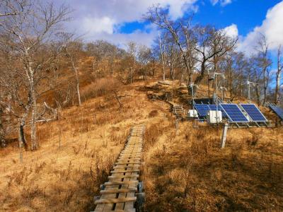 気持ちの良い木道。あまりしんどくなかった