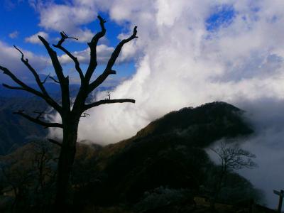 しかも、犬越路までの稜線はガスガスガス。雲がこっちにくるのよね