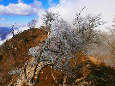 木にだけ雪がついてるのはおかしい感じもする。やっぱ凍ってるだけなんだろうか