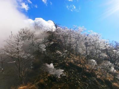 檜洞丸のピークを振り返る。この雰囲気は好きなんだけどな
