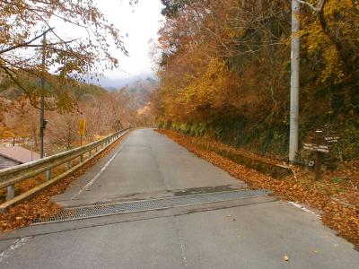 しばらく道路を歩いていく