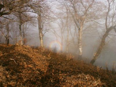 ブロッケン現象を見ることができた！生まれて初めてだったので、虹かと思ってかなりびっくりした